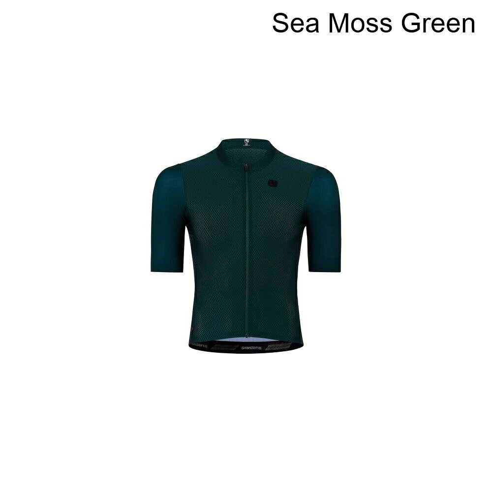 (取寄) ジョルダーナ メンズ FR-C プロ ショートスリーブ ジャージ - メンズ Giordana men FR-C Pro Short-Sleeve Jersey - Men's Sea Moss Green