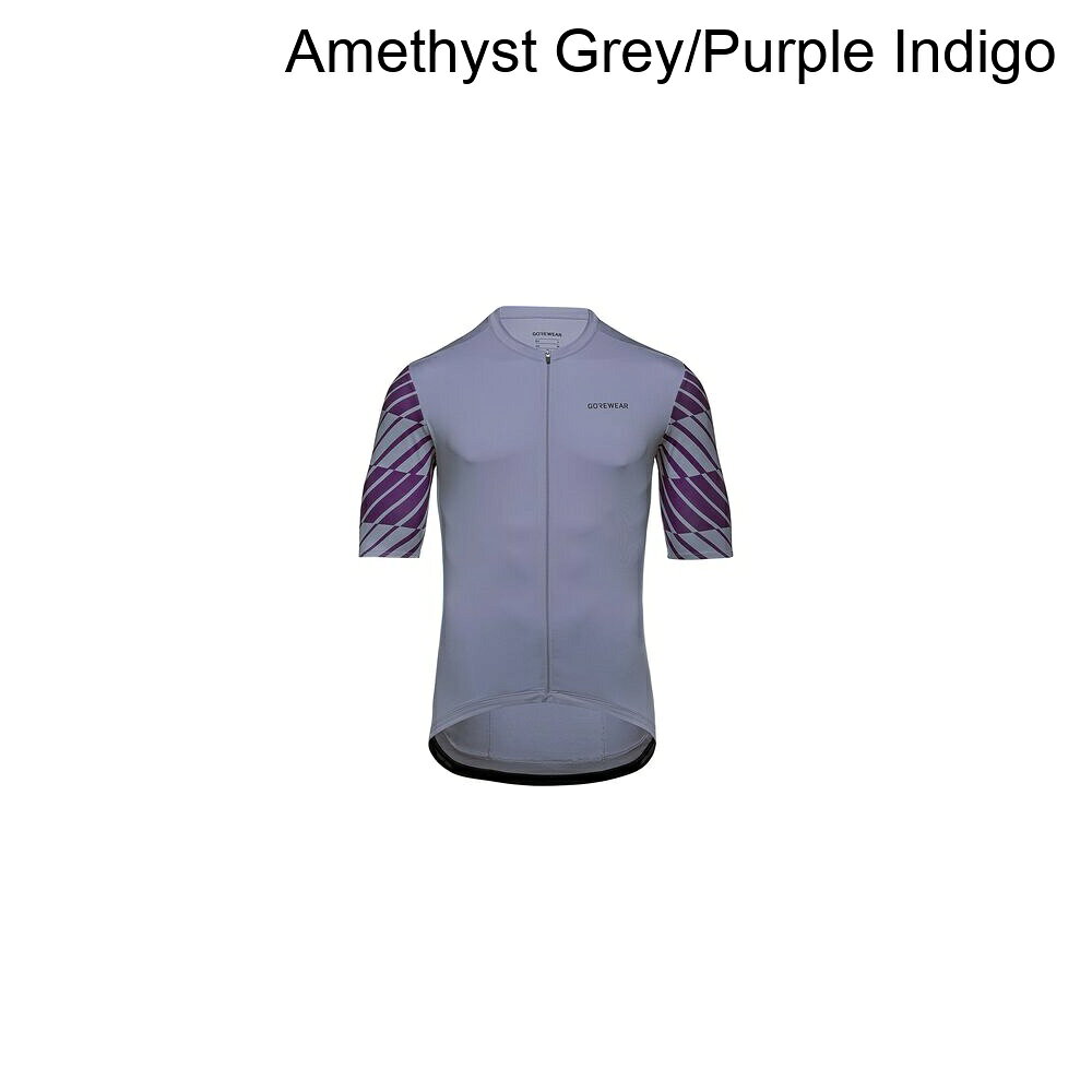 (取寄) ゴアウェア メンズ オプティカル ジャージ - メンズ GOREWEAR men SWIFTRIDE Optical Jersey - Men's Amethyst Grey/Purple Indigo