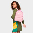 (取寄) ナイキ キッズ ブラジリア JDI ミニ バックパック Nike Brasilia JDI Mini Backpack soft pink/fuchsia DR6091_690