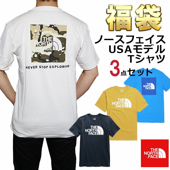 ノースフェイス Tシャツ 福袋 メンズ 3枚セット USAモデル THE North Face 半袖Tシャツ 3点セット 送料..