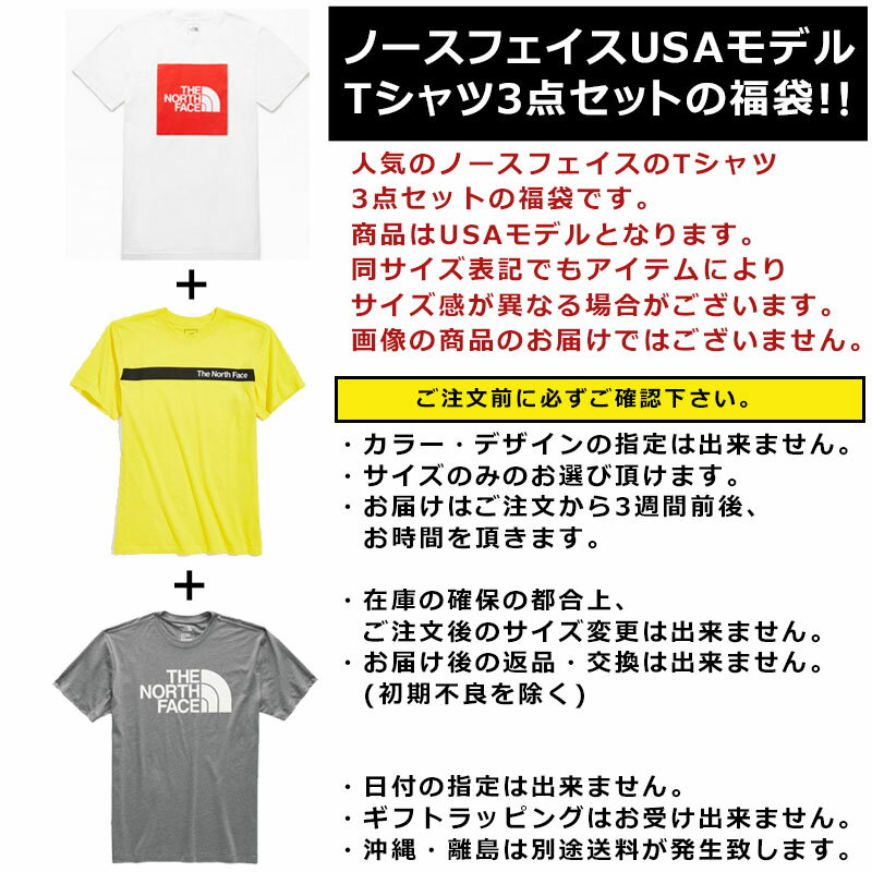 ノースフェイス Tシャツ 福袋 メンズ 3枚セット USAモデル THE North Face 半袖Tシャツ 3点セット 送料無料 メンズ ブランド 福袋 2022 取寄 まとめ買い お得 お楽しみ袋 秋 秋服 秋セット