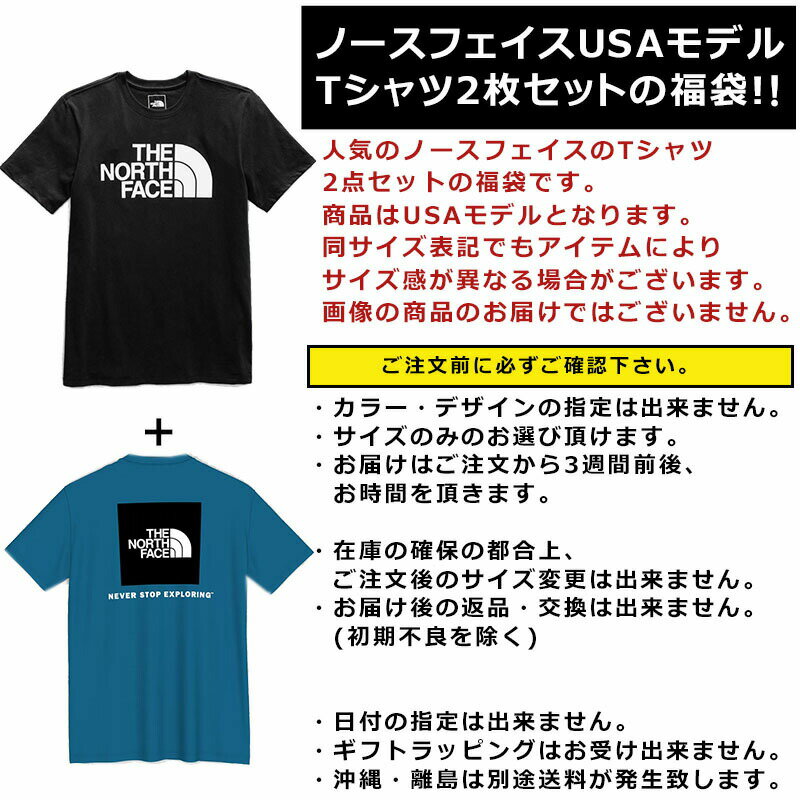 ノースフェイス Tシャツ 福袋 メンズ 2枚セ...の紹介画像3