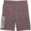 (取寄) アンダーアーマー ビッグ ボーイズ プロトタイプ 2.0 ワードマーク ショーツ Under Armour Big Boys Prototype 2....