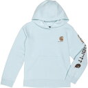 (取寄) カーハート ビッグ ボーイ グラフィック スウェットシャツ Carhartt Big Boy CA6700 Graphic Sweatshirt Li...