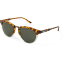 () ߥ ǥ  󥰥饹 Smith women Questa Sunglasses (For Women) Polarized Gray Green