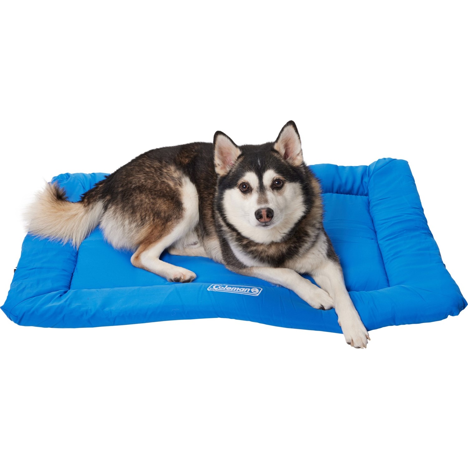 (取寄) コールマン ロール-アップ トラベル ペット ベッド - Coleman Roll-Up Travel Pet Bed - 24x36x2” Blue