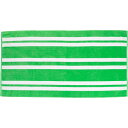 () O[gxCz[ }EC p[ c[ XgCv xA r[` ^I - 450 gsm, 30x60h, Great Bay Home Maui Palm Tree Stripe Velour Beach Towel - 450 gsm, 30x60h, Green-White Green / White