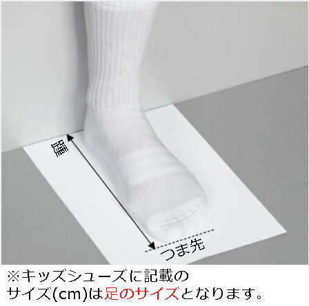在庫安い (取寄)アディダス ガールズ キッズ レーザー TR 2.0 (インファント/トドラー) adidas Girl's Kids Racer TR 2.0 (Infant/Toddler) Halo Blue/White/Super Pop:スウィートラグ 好評高品質