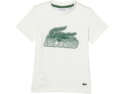 (取寄) ラコステ キッズ キッズ ショート スリーブ クルー ネック グラフィック クロコ プリント T-シャツ (ビッグ キッズ) Lacoste Kids kids Lacoste Kids Short Sleeve Crew Neck Graphic Croc Print T-Shirt (Big Kids) Flour