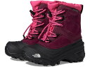 (取寄) ノースフェイス キッズ アルペングロー V ウォータープルーフ The North Face Kids Alpenglow V Waterproof (Toddler/Little Kid/Big Kid) Boysenberry/TNF Black