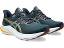 () AVbNX Y 12 ASICS men ASICS GT-2000 12 French Blue/Foggy Teal