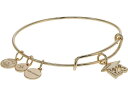 (取寄) アレックス アンド アニ レディース 2023 グラデュエーション キャップ ブレスレット Alex and Ani women Alex and Ani 2023 Graduation Cap Bracelet Shiny Gold