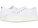 (取寄) スティーブマデン レディース エロア スニーカー Steve Madden women Steve Madden Elore Sneaker White