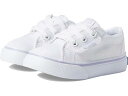 () PbY LbY K[Y WvLbN (gh[/g Lbh) Keds Kids girls Keds Kids Jumpkick (Toddler/Little Kid) Iridescent