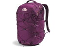 () m[XtFCX fB[X {AX O[ The North Face women The North Face Borealis Luxe Black Currant Purple/Burnt Coral Metallic