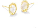 (取寄) ケンドラスコット レディース ダフネ スタッズ イヤリングス Kendra Scott women Kendra Scott Daphne Stud Earrings Gold Ivory Mother Of Pearl