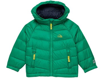 (取寄) エルエルビーン キッズ ウルトラライト 650 ダウン ジャケット (インファント) L.L.Bean kids Ultralight 650 Down Jacket (Infant) Kelly Green