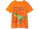 () nbgC LbY {[CY T-bNX OE C U _[N OtBbN eB[ (gh[/g LbY/rbO LbY) Hatley Kids boys Hatley Kids T-Rex Glow In The Dark Graphic Tee (Toddler/Little Kids/Big Kids) Orange