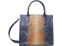 () u[~ fB[X Iu ~j { LC Tb`F Brahmin women Brahmin Ombre Mini Melbourne Caroline Satchel Bluestone