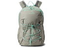 (取寄) エルエルビーン 30 エル コンフォート キャリー ラップトップ パック L.L.Bean 30 L Comfort Carry Laptop Pack Mineral Gray/Fresh Mint(4)