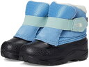 (取寄) ノースフェイス キッズ アルペングロー リ (トドラー) The North Face Kids Alpenglow II (Toddler) Dark Cornflower/Muted Pine