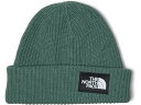 (取寄) ノースフェイス ソルティー ドッグ ビーニー The North Face Salty Dog Beanie Dark Sage