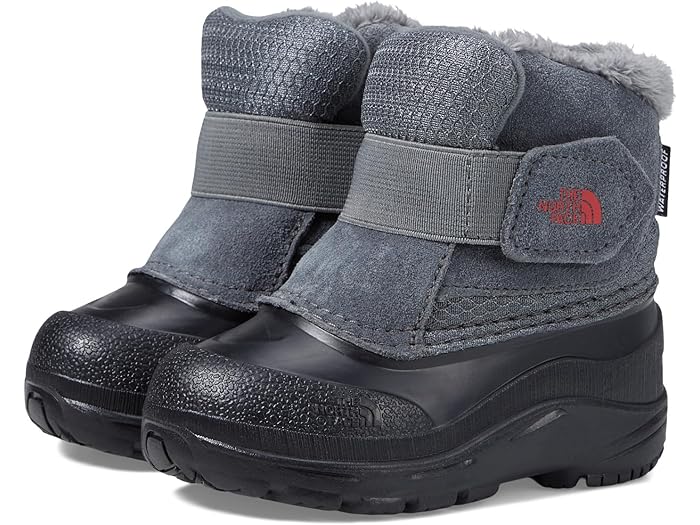 () Ρե å ڥ󥰥  (ȥɥ顼) The North Face Kids Alpenglow II (To...