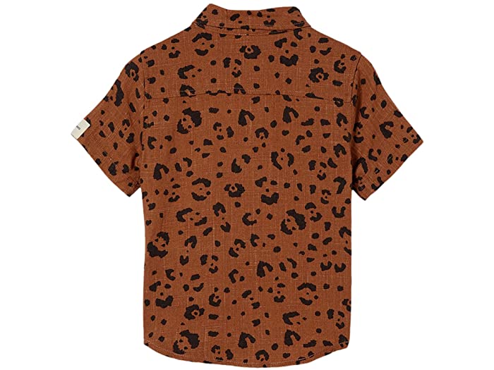 ジュニア╁ (取寄) COTTON ON Resort Short Sleeve Shirt (Toddler/Little Kids/Big Kids)  Coco Jumbo/Cheetah：スウィートラグ コットン オン リゾート ショート スリーブ シャツ (トドラー/リトル キッズ/ビッグ キッズ)  キッズ - www.teledakar.net