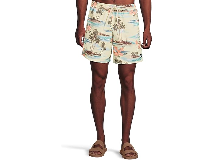 (取寄) クイックシルバー メンズ エブリデイ ミックス 17 Nb ボレー Quiksilver men Everyday Mix 17 Nb Volley Silver Birch