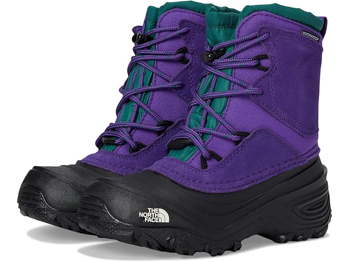 () Ρե å å ڥ󥰥 V ץ롼 (桼) The North Face Kids kid...