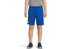 (取寄) アンダーアーマー キッズ ボーイズ テック ベント ショーツ (ビッグ キッド) Under Armour Kids boys Tech Vent Shorts (Big Kid) Royal/White