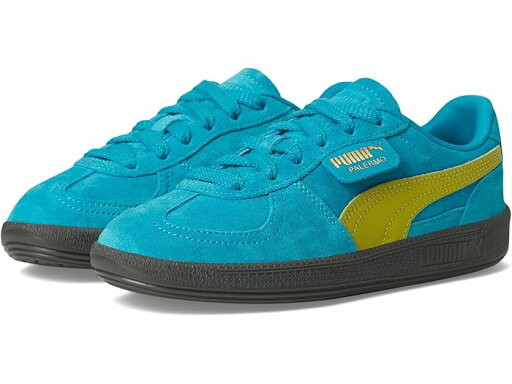 (取寄) プーマ キッズ パレルモ (ビッグ キッド) PUMA kids Palermo (Big Kid) Tropical Blue/Sea Kelp (取寄) プーマ キッズ パレルモ (ビッグ キッド) PUMA kids Palermo (Big Kid) Tropical Blue/Sea Kelp