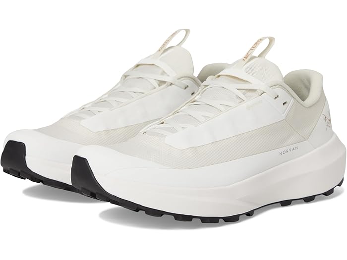 (取寄) アークテリクス レディース ノーバン LD 4 Gtx Arc'teryx women Norvan Ld 4 GTX Arctic Silk/Arctic Silk