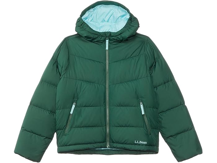 () 륨ӡ å ݥե ѥե 㥱å (ӥå å) L.L.Bean kids Popham Puffer...