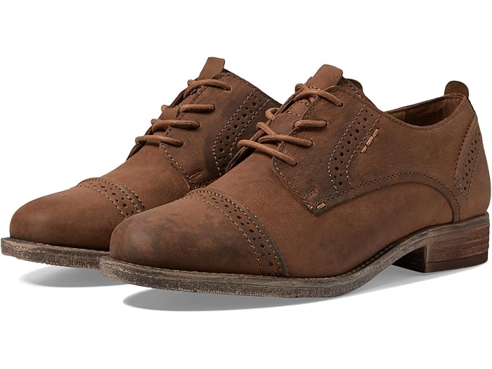 (取寄) ジョセフ セイベル レディース シエナ 12 Josef Seibel women Sienna 12 Moro