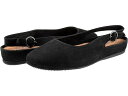 (取寄) ソフトウォーカー レディース サンディー SoftWalk women Sandy Black Nubuck