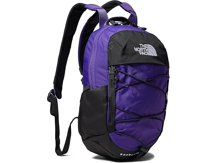 () Ρե ܥ쥢ꥹ ߥ Хåѥå The North Face Borealis Mini Backpack Pea...