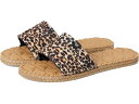 (取寄) ロキシー レディース Roxy women Shoresoft SLD Brown/Multi