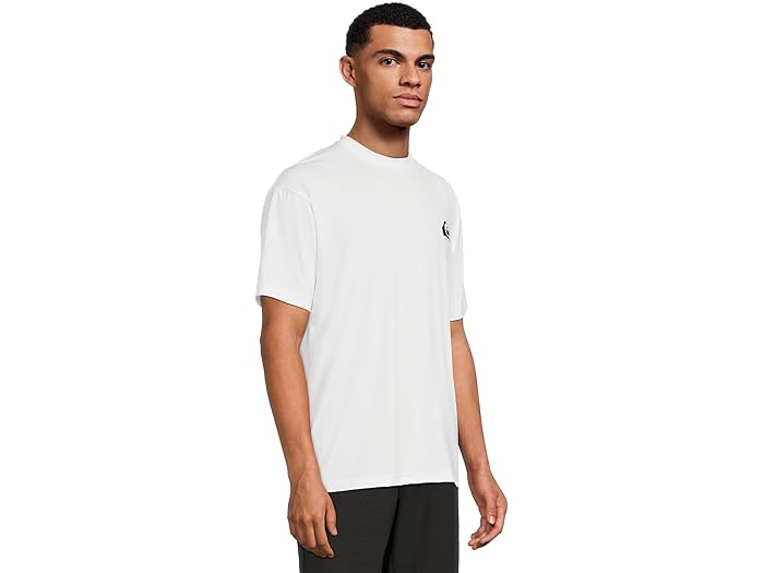 (取寄) クイックシルバー メンズ エブリデイ サーフ ティー ショーツ スリーブ サーフ ティー Quiksilver men Everyday Surf Tee Shorts Sleeve Surf Tee White