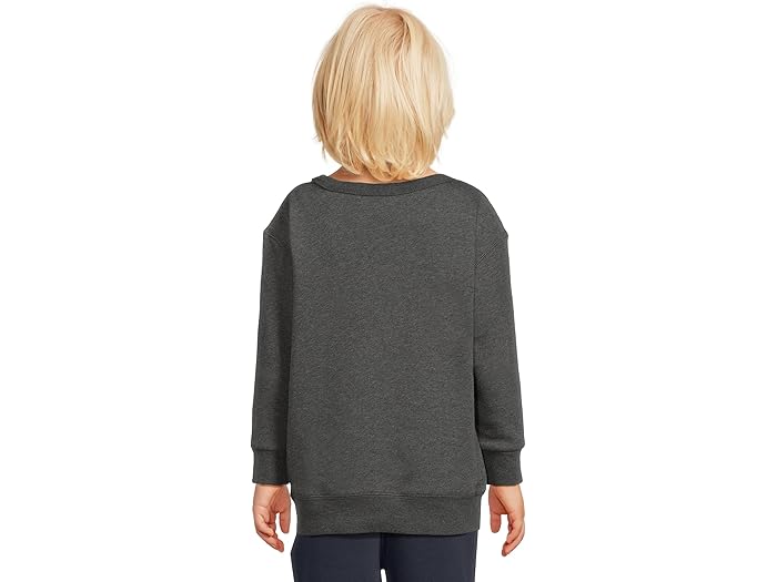 (取寄) ラルフローレン キッズ ボーイズ ポロ ベアー ヘザード フリース スウェットシャツ (トドラー/リトル キッド) Polo Ralph Lauren Kids boys Polo Bear Heathered Fleece Sweatshirt (Toddler/Little Kid) Windsor Heather