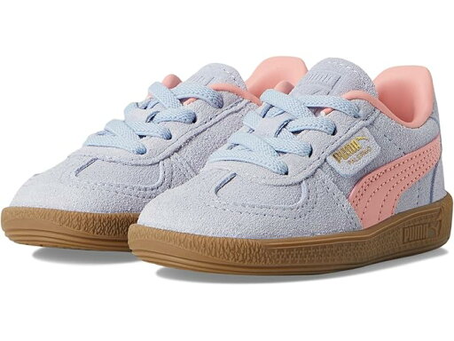 (取寄) プーマ キッズ キッズ パレルモ オルタナティブ クロージャー (トドラー) PUMA Kids kids Palermo Alternative Closure (Toddler) Cool Weather/Pink Fruit (取寄) プーマ キッズ キッズ パレルモ オルタナティブ クロージャー (トドラー) PUMA Kids kids Palermo Alternative Closure (Toddler) Cool Weather/Pink Fruit