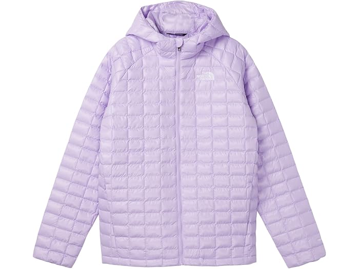 () Ρե å å ܡ աǥå 㥱å (ȥ å/ӥå å) The North Face Kids ki...