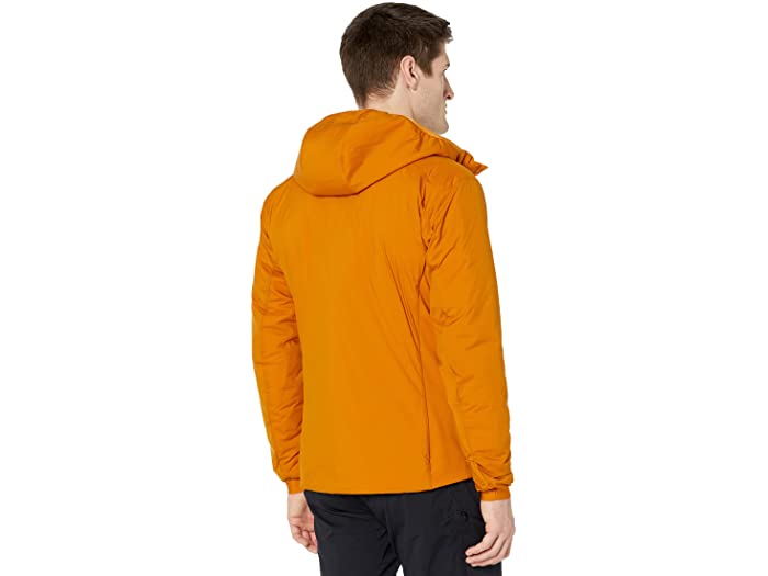 (取寄) アークテリクス メンズ アトム Lt フーディ Arcteryx men Atom LT Hoodie Revel