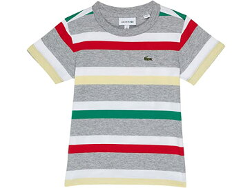 (取寄) ラコステ キッズ ボーイズ ショート スリーブ ストライプド ティー シャツ (トドラー/リトル キッズ/ビッグ キッズ) Lacoste Kids boys Short Sleeve Striped Tee Shirt (Toddler/Little Kids/Big Kids) Heather Wall Chine/White/Infrared/Summer/Napolitan