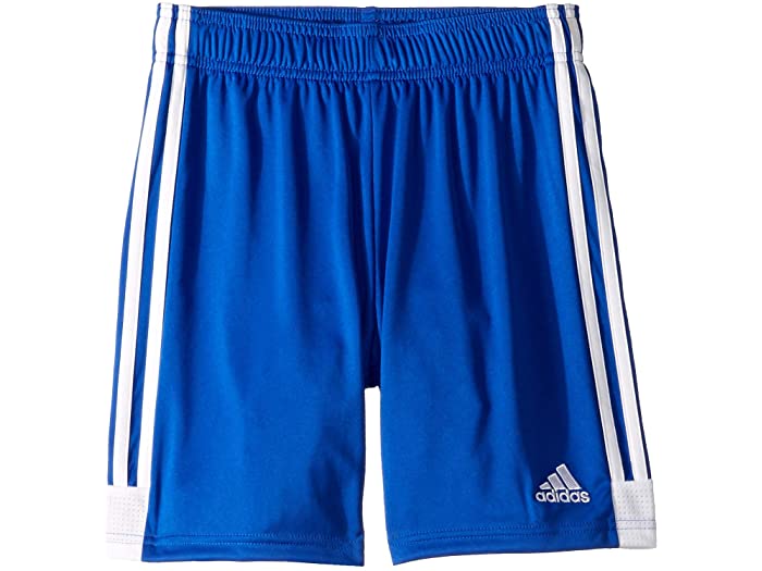 (取寄) アディダス キッズ キッズ タスティゴ ショーツ (リトル キッズ/ビッグ キッズ) adidas Kids kids TastiGo19 Shorts (Little Kids/Big Kid) Bold Blue/White