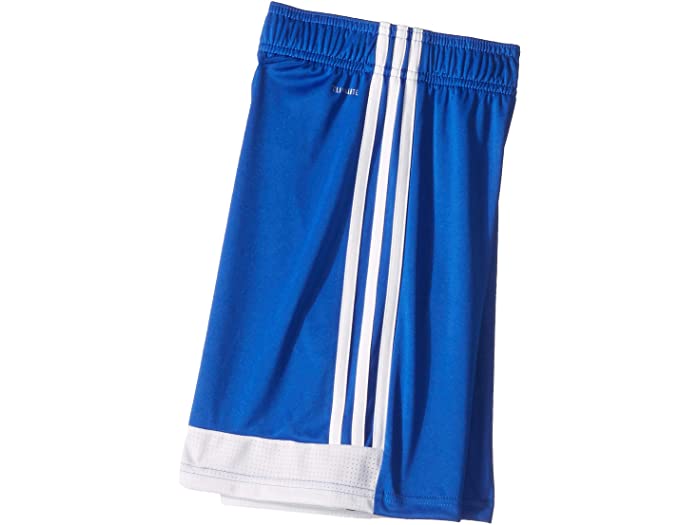 (取寄) アディダス キッズ キッズ タスティゴ ショーツ (リトル キッズ/ビッグ キッズ) adidas Kids kids TastiGo19 Shorts (Little Kids/Big Kid) Bold Blue/White