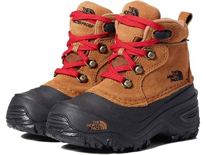 (取寄) ノースフェイス キッズ キッズ チルカット レース Ii (トドラー/リトル キッズ/ビック キッズ) The North Face Kids kids Chilkat Lace II (Toddler/Little Kid/Big Kid) Toasted Brown/TNF Black