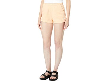 (取寄) ノースフェイス レディース ロゴ ショーツ The North Face women Logo Shorts Apricot Ice