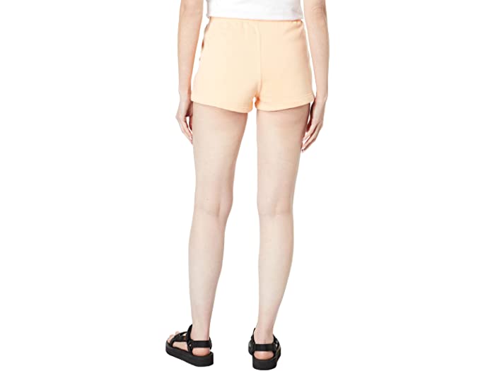 (取寄) ノースフェイス レディース ロゴ ショーツ The North Face women Logo Shorts Apricot Ice