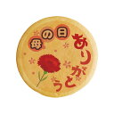 クッキー イラスト プリント メッセージ 母の日 遅れてごめんね 挨拶 ありがとう クッキー イラスト プリント メッセージ プチ ギフト 内祝い 贈り物